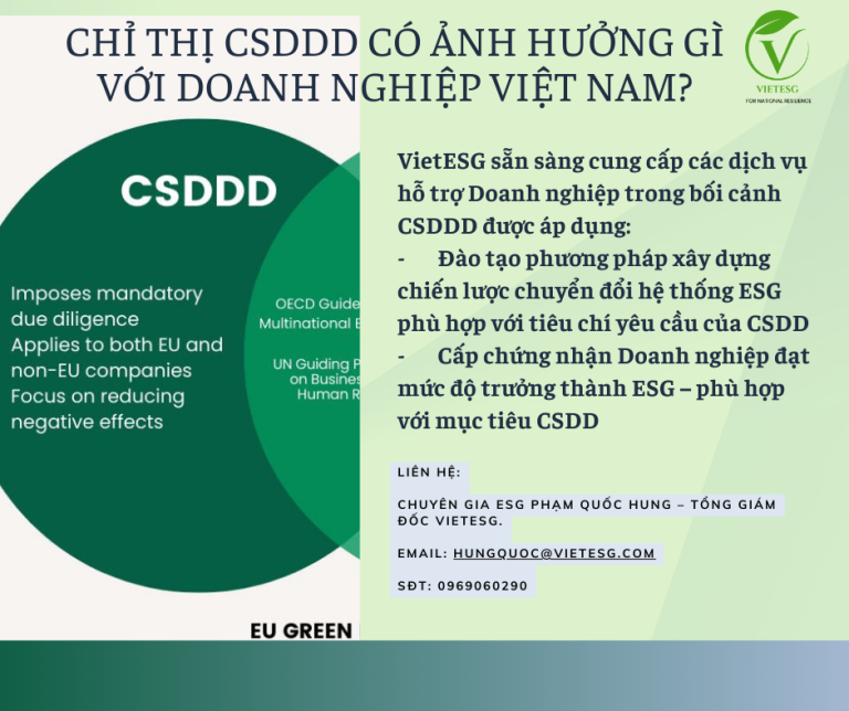 Chỉ thị về Trách nhiệm Doanh nghiệp về Bền vững (CSDDD) và ảnh hưởng đối với doanh nghiệp Việt Nam?