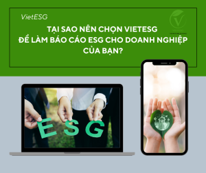 Tại sao nên chọn VietESG để làm báo cáo ESG cho doanh nghiệp của bạn?