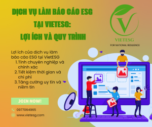 Dịch vụ làm báo cáo ESG tại VietESG: Lợi ích và quy trình