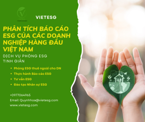Phân tích báo cáo ESG của các doanh nghiệp hàng đầu tại Việt Nam