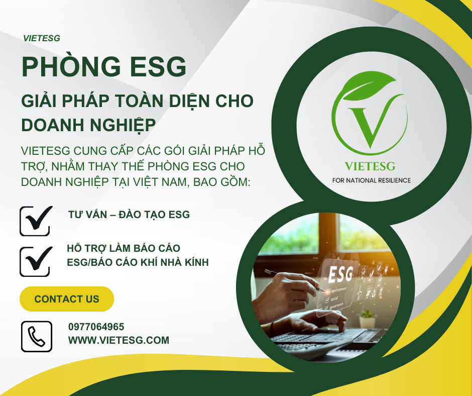 Phòng ESG – Giải Pháp Toàn Diện Cho Doanh Nghiệp