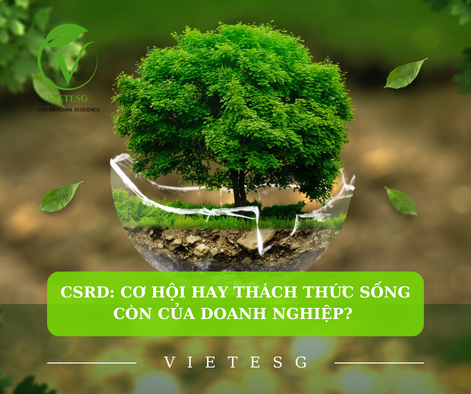 CSRD: Cơ hội hay thách thức sống còn của Doanh nghiệp?